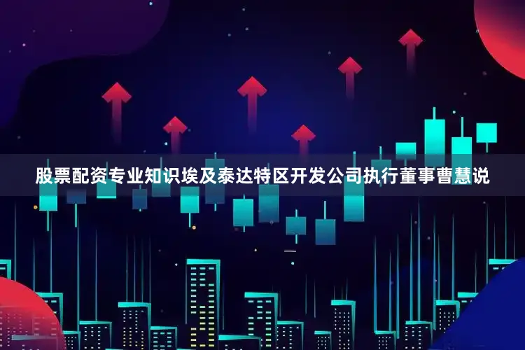 股票配资专业知识埃及泰达特区开发公司执行董事曹慧说