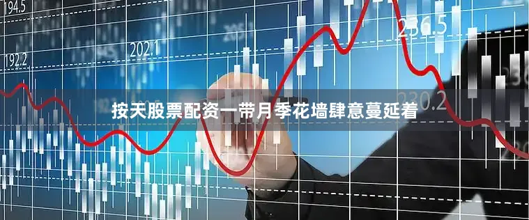 按天股票配资一带月季花墙肆意蔓延着