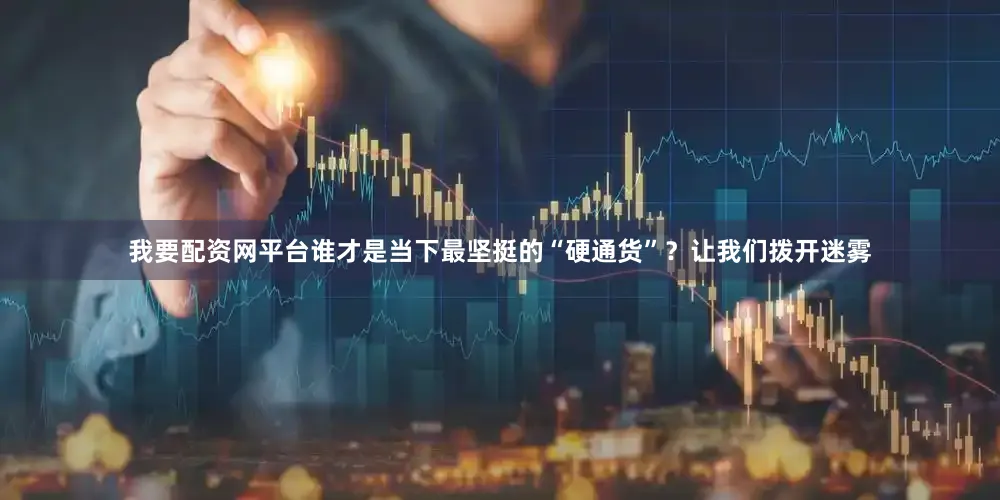 我要配资网平台谁才是当下最坚挺的“硬通货”？让我们拨开迷雾