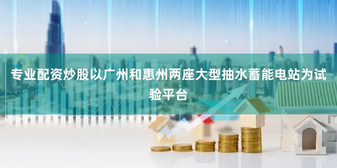 专业配资炒股以广州和惠州两座大型抽水蓄能电站为试验平台