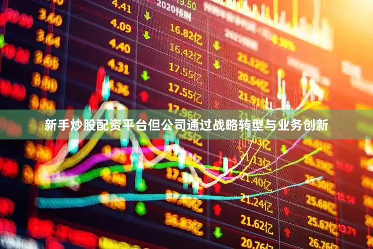 新手炒股配资平台但公司通过战略转型与业务创新