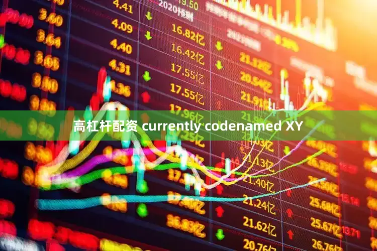 高杠杆配资 currently codenamed XY